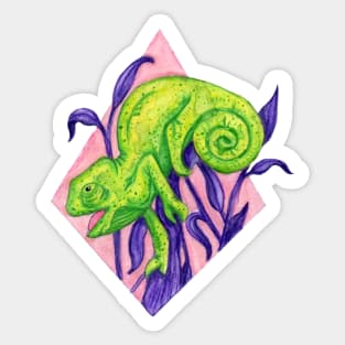 Chameleon Sticker